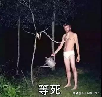 国家电商代购新政策出台,电商法对朋友圈影响