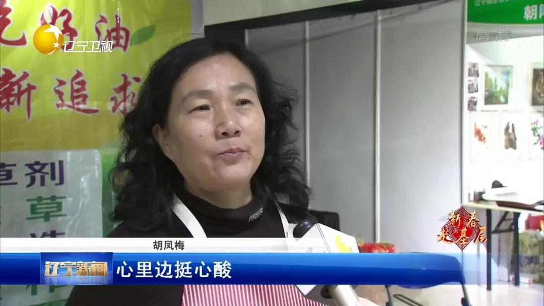 新春走基层逛大集买年货,新春走基层河北年货大集年味儿浓