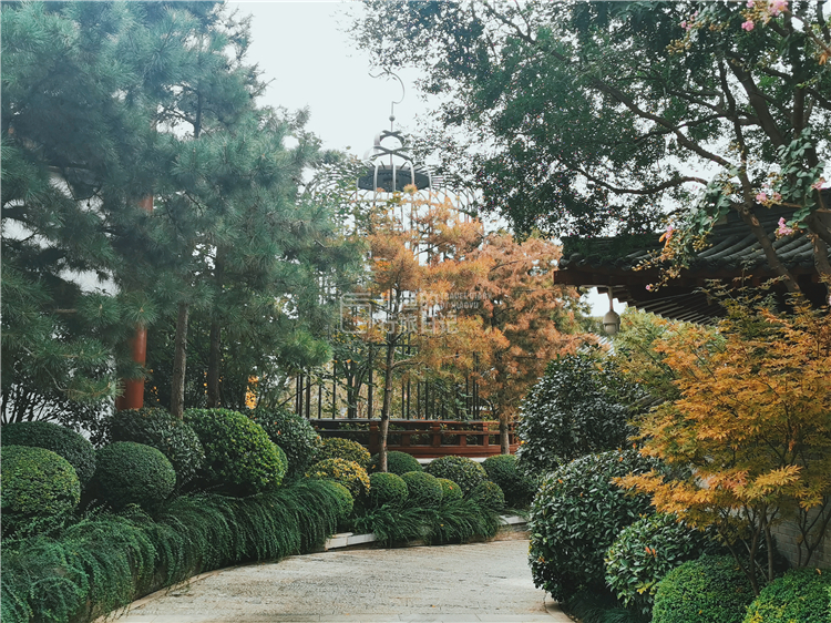 中国三大著名温泉,中国最壮观最省钱的温泉是哪个