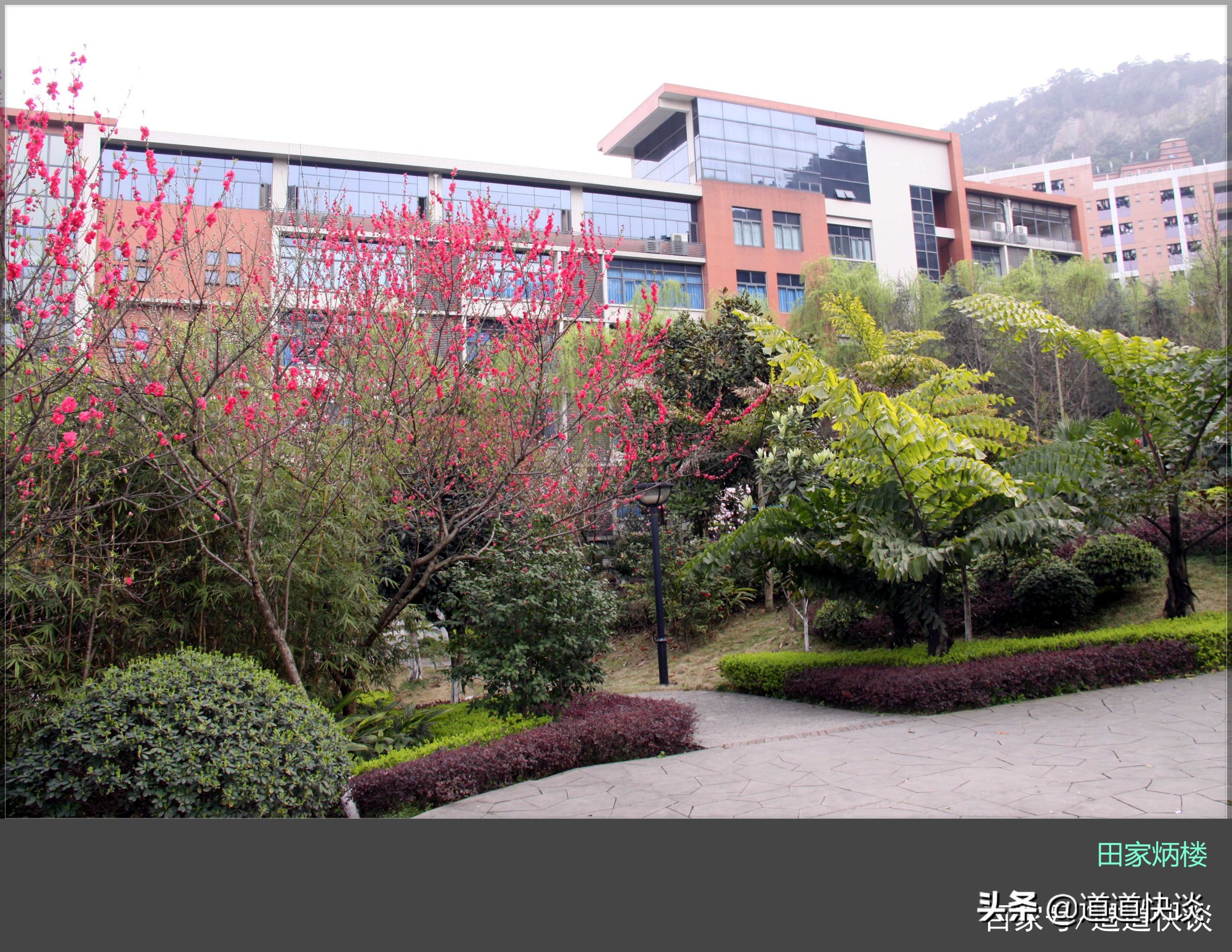 重庆工商大学学科教学评估,重庆工商大学学科评估预测