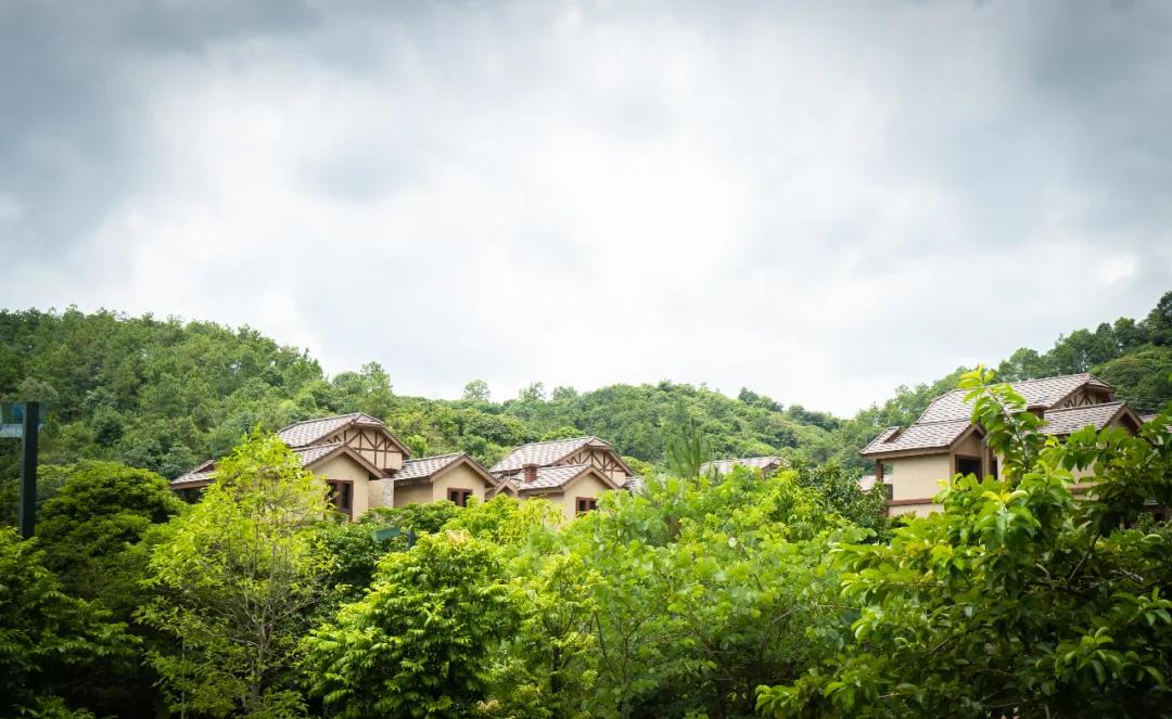 终于等到了！嵌在北回归线上的森林叠墅，惊艳“曝光”