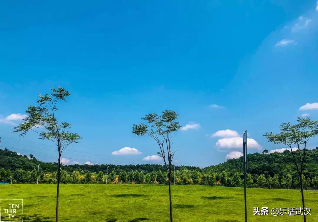 原来武汉有这么多好玩的打卡地,武汉周边新晋7大网红打卡地