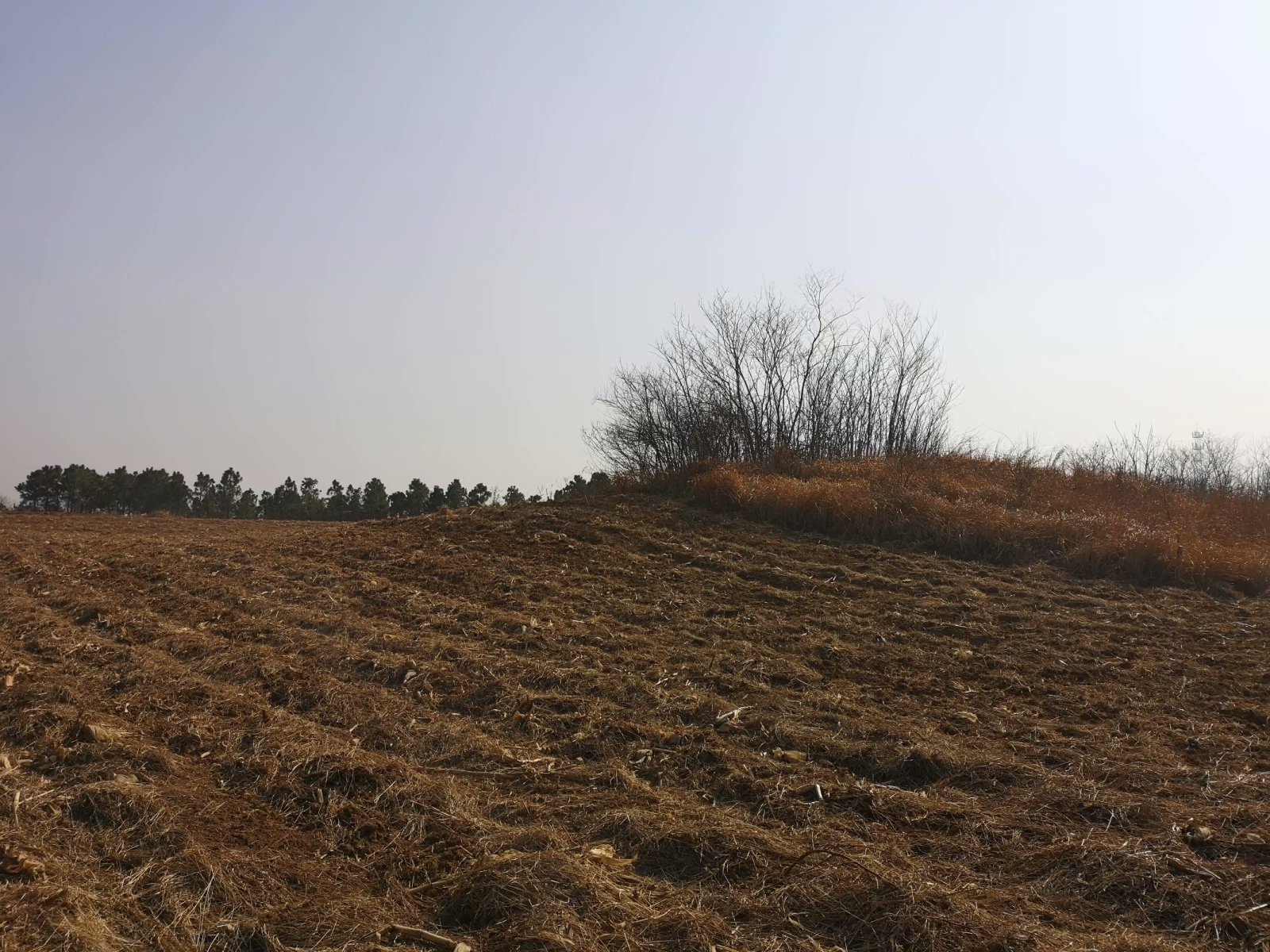 摩托附近风景,摩托打卡地附近