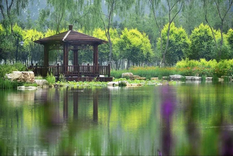 天津十大自然风景区,天津九山顶自然风景区赏秋