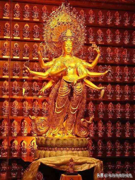 你好，我叫海南，这是我的最新简历