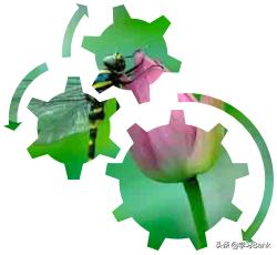 ppt里柱状图如何用图片填充,ppt如何将图片填充整个页面快捷键