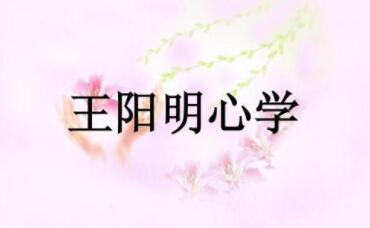 球队身价是什么,球队身价有参考价值吗