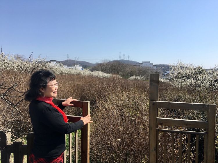 傅家边野营,走进金溪傅家村