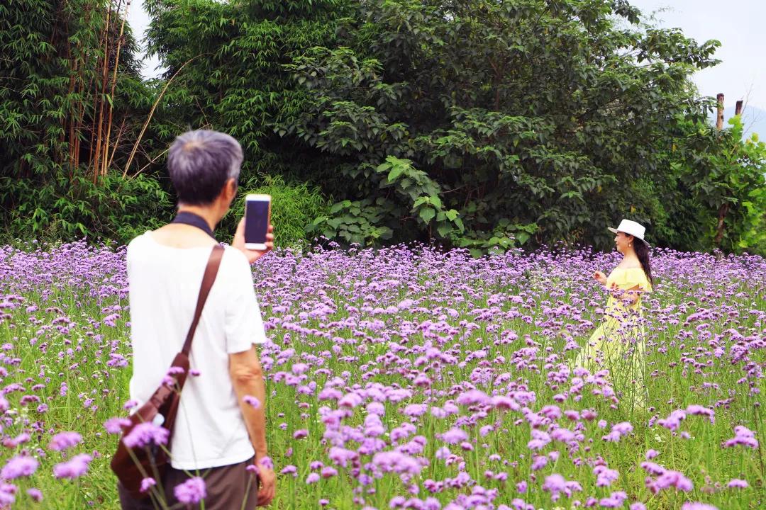 搞快点是哪里方言,搞快点