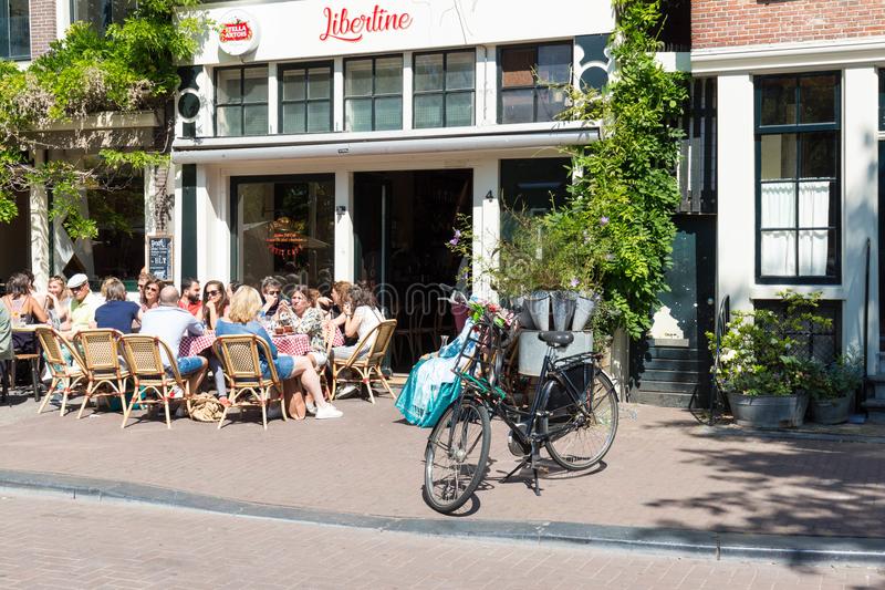 三十条冷知识大全,荷兰100条冷知识