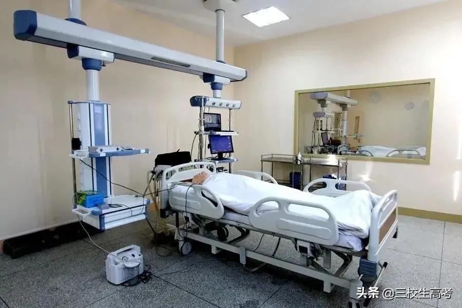 上海立达专升本报名条件,立达学院游学