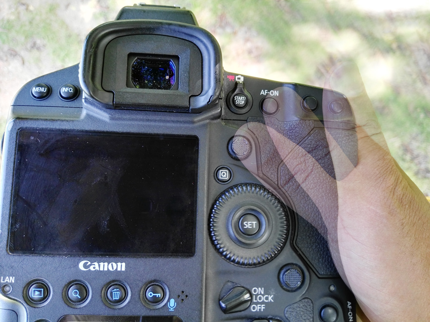 高清专业级拍鸟摄影机,顶级相机拍鸟