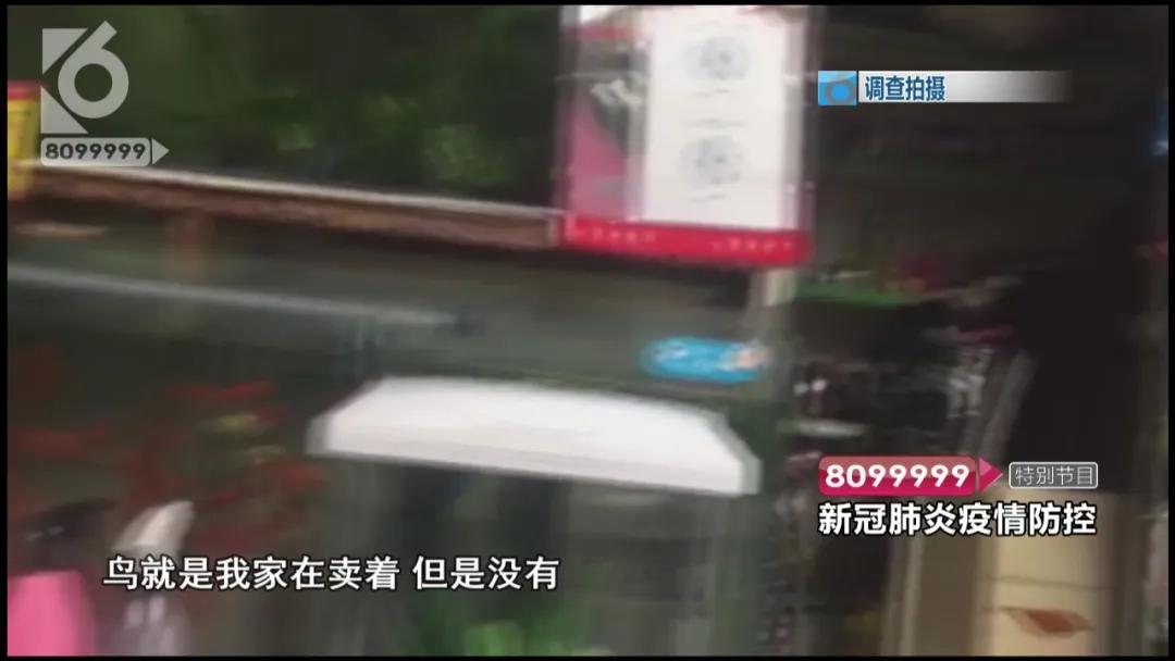 花鸟市场哪些不能买,花鸟市场现在还有吗