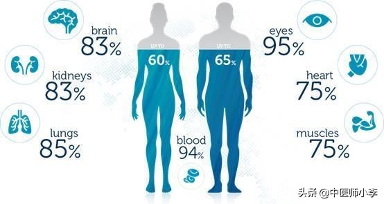 女人湿气重吃什么东西排湿最快,气血不足湿气重的女人该怎么调理