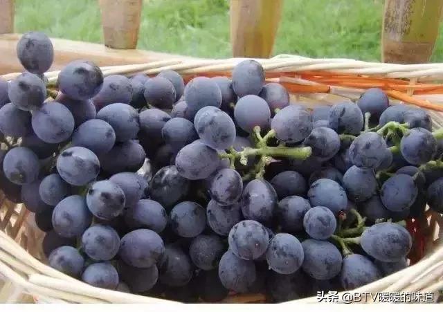 葡萄怎么挑选才不酸,葡萄怎么选好