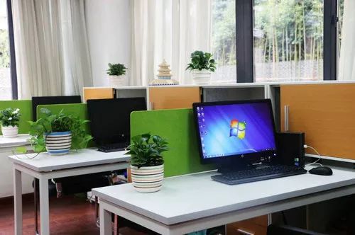 名校巡礼,名校巡礼视频