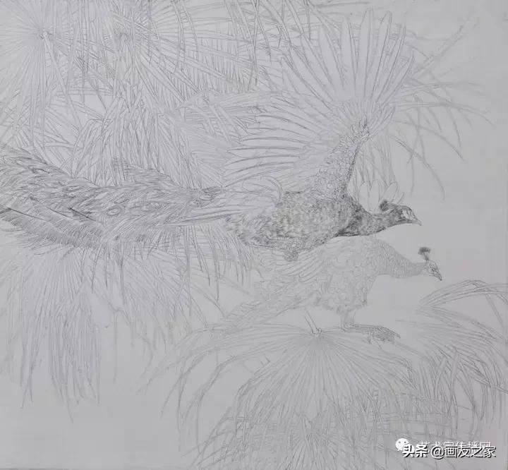 工笔孔雀上色步骤详解,工笔最顶级逼真孔雀画精品