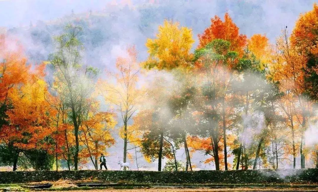 11-12月十大必去旅行地,12月高性价比的旅游地