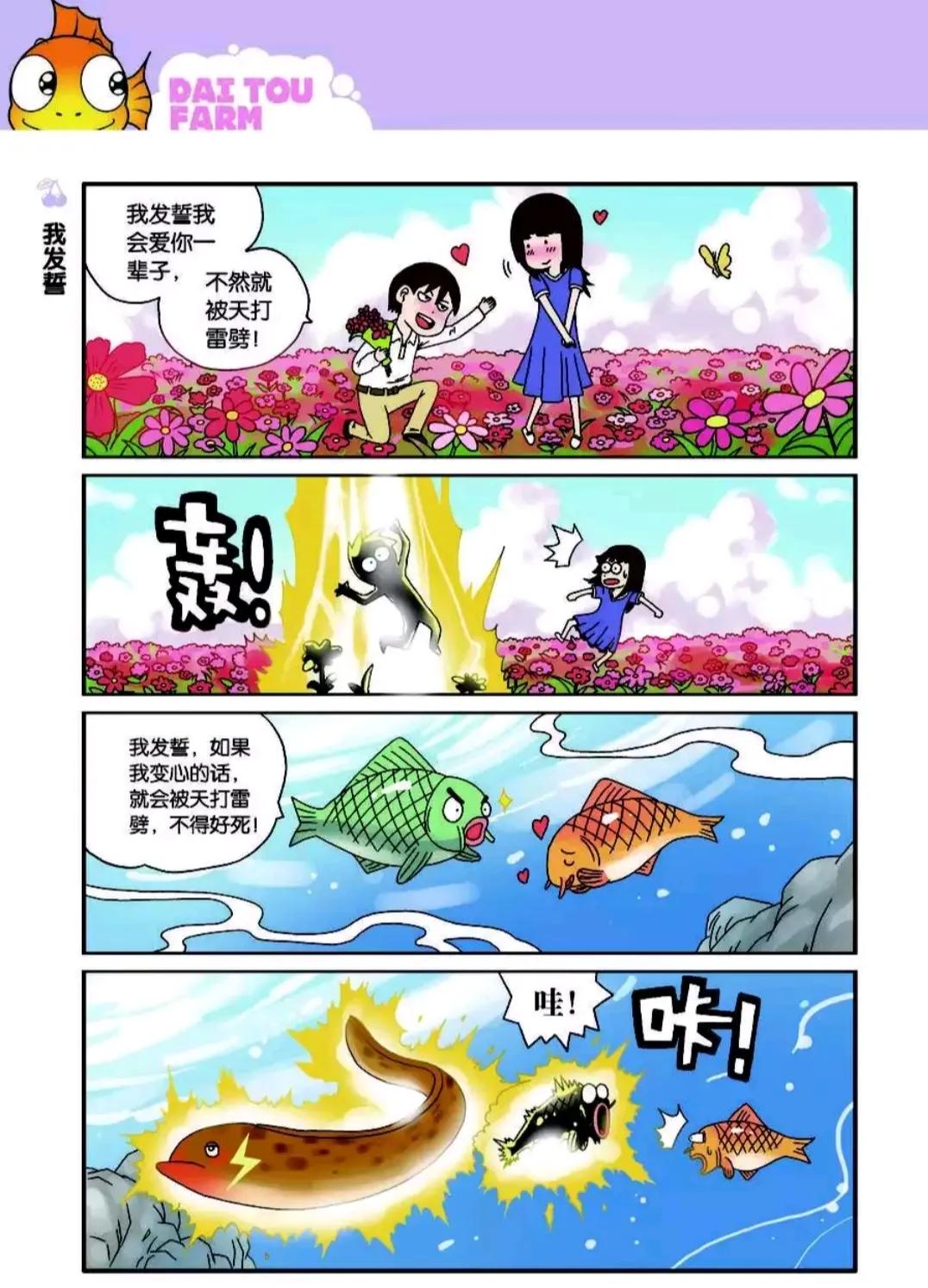 呆头的蜂鸟是怎样的