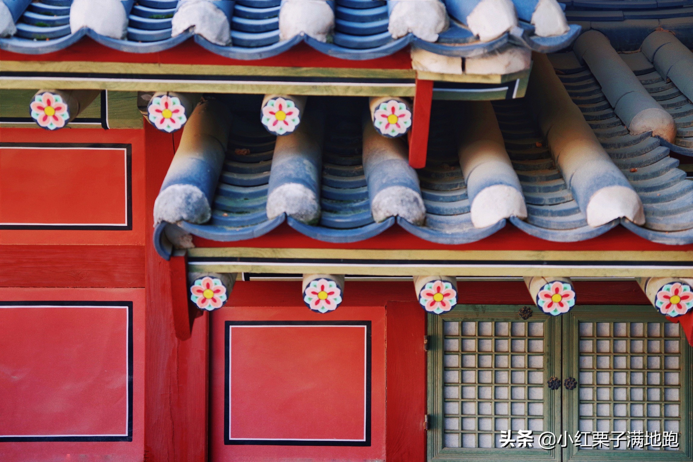 疫散花开张家界,疫散花开欢迎归来