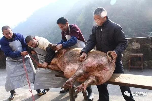 小村趣事全集免费阅读全文,小村趣事全文阅读