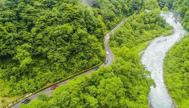 成都自驾百里杜鹃旅游攻略,万亩杜鹃花在青山幽谷