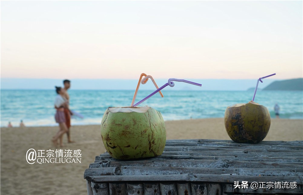 芽庄印象｜|想说爱你不容易