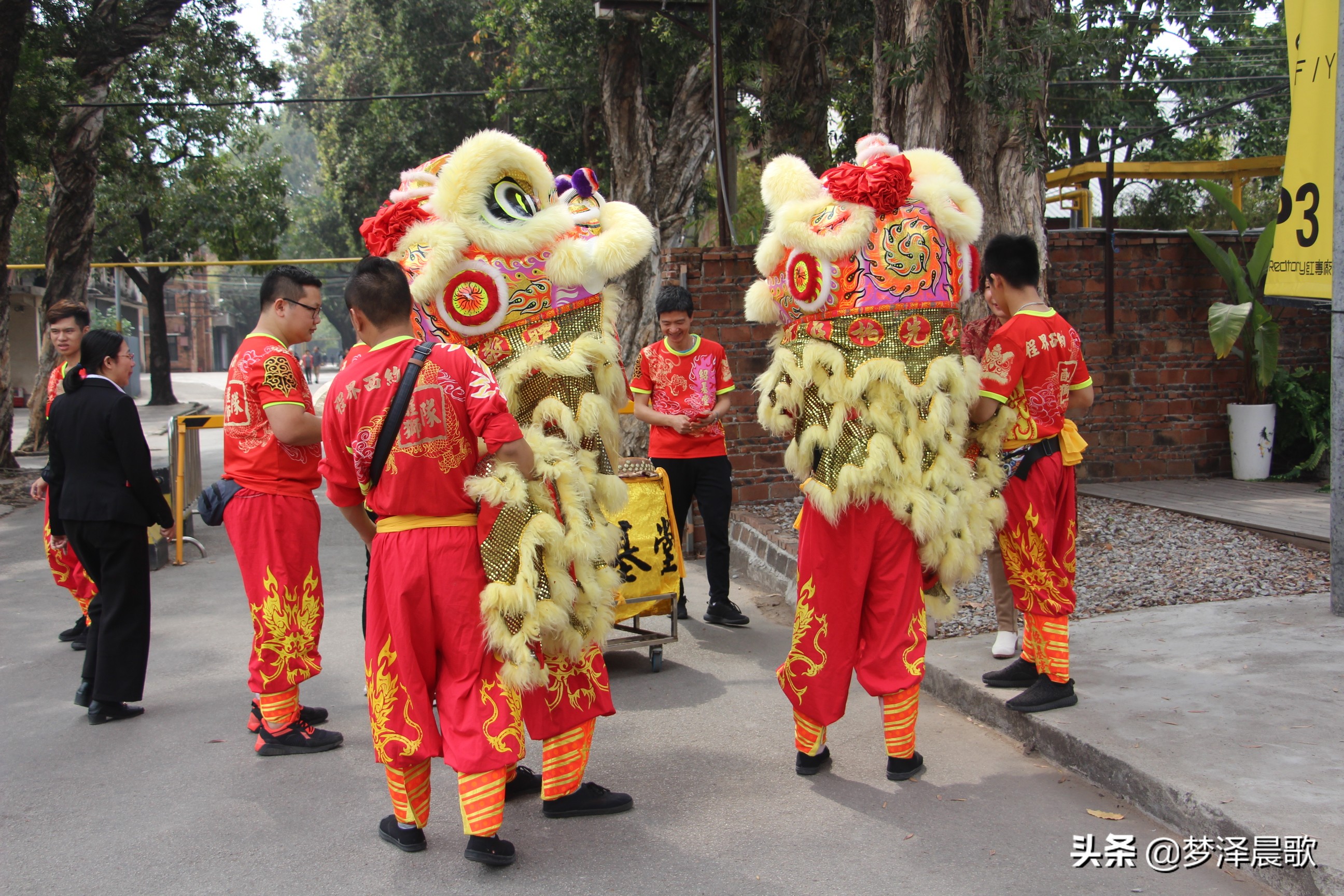 猪年大吉喜气洋洋广场舞,猪年金猪大吉广场舞