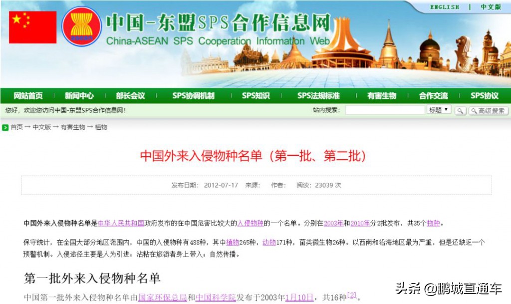 下雨过后路边为什么会出现蜗牛,深圳雨后出现非洲大蜗牛怎么处理