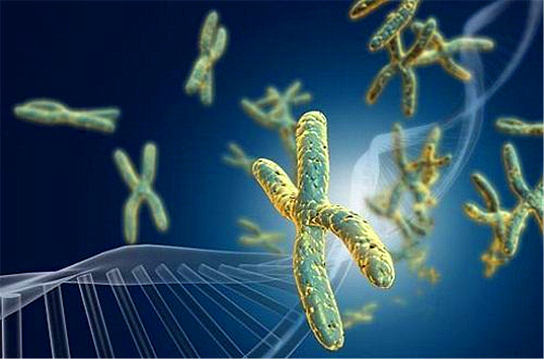 骡子为什么不能生育下一代的传说,为什么骡子无法生育后代