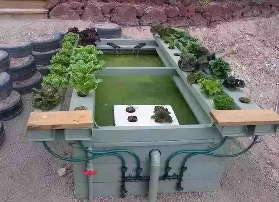 休闲农业模式怎么选好点,休闲农业的100种盈利模式