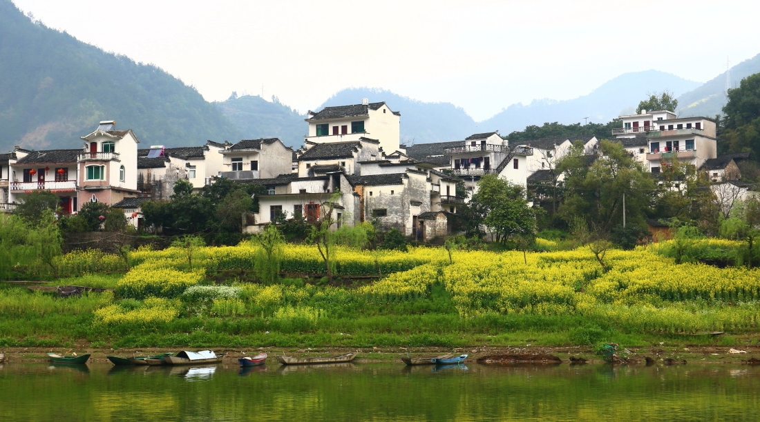 歙县观赏油菜花经典路线,歙县自驾游婺源看油菜花车停哪里