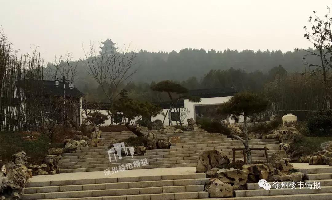 徐州森林公园,徐州森林公园开放时间最新