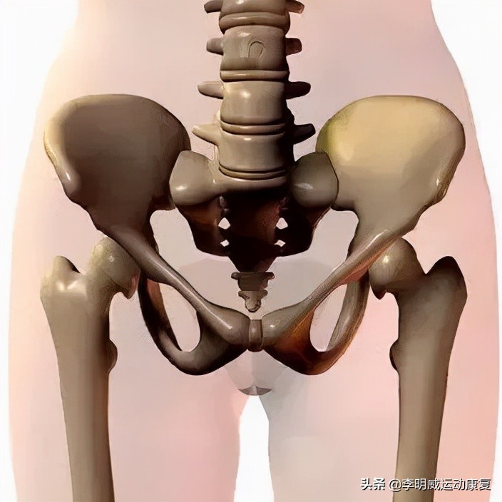 骨盆不正的危害动画视频,骨盆不正危害图片