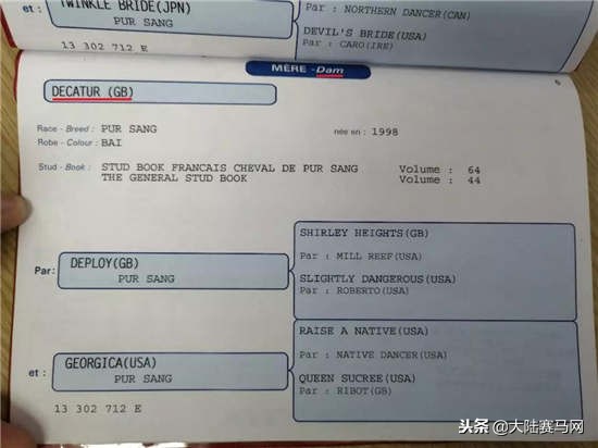 马也有护照？中国、日本的最好辨认，法国居然这么写！