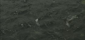 中元：誉满全球的“死亡教育”最佳影片：为什么“死”是“往生”