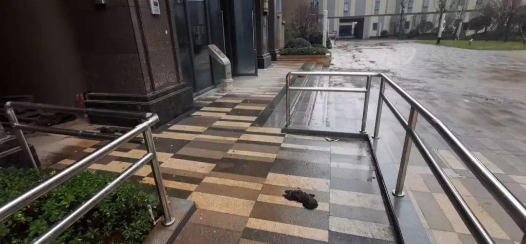 万达滨江城房子值得买吗,九龙湖万达茂学区房