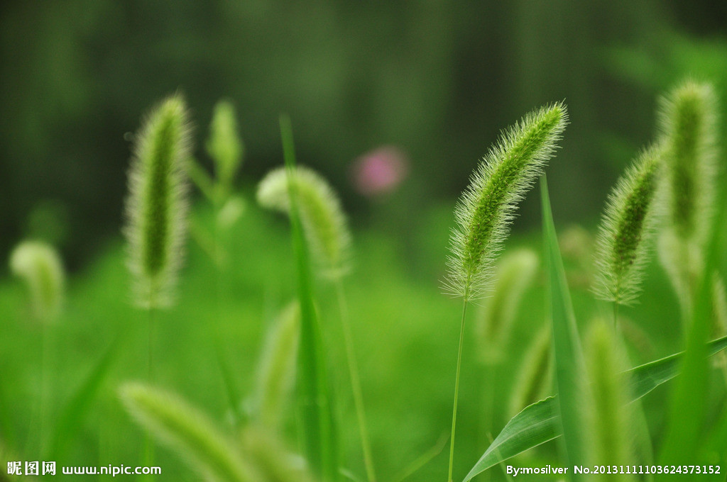 教师,最美的语言应该怎样说?