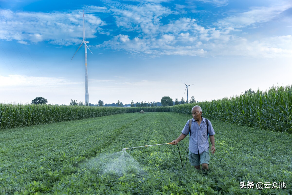 花生一沟种两行高产还是一行高产,种花生是单行高产还是双行高产