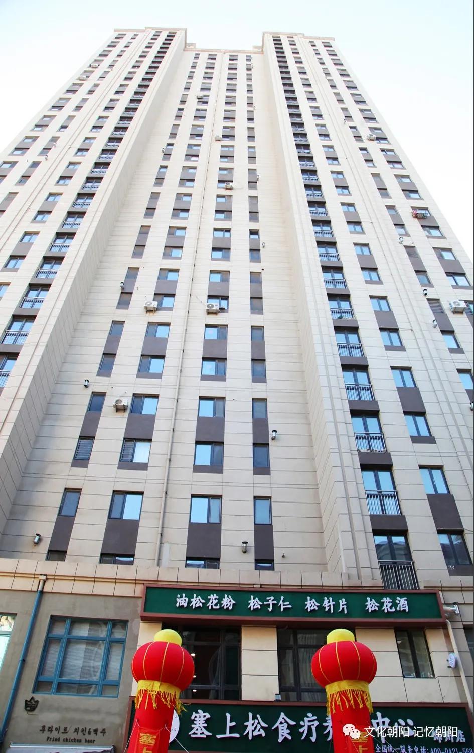 “塞上松”为锦绣之州锦上添花