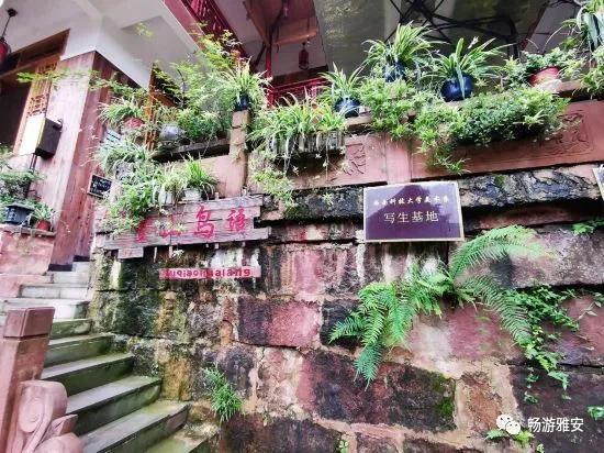 雅安旅游住宿,雅安旅游住哪个区方便