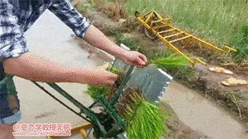 搞笑视频,搞笑动图gif猫咪