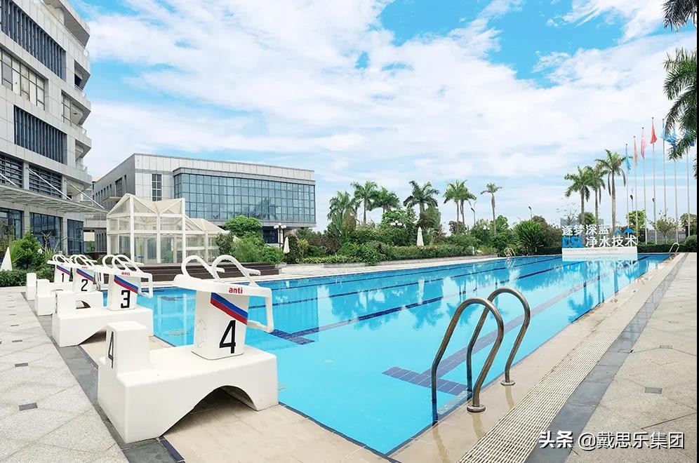 戴思乐泳池水处理设备,戴思乐净水