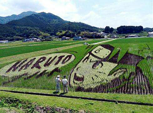 安倍财务顾问伊藤元重：在西班牙度假的时候，我满脑子想的都是，如何把日本田野景点化
