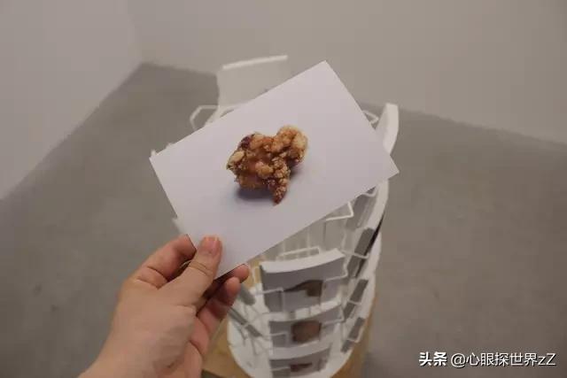 日本妹子设计的*体器人官**电器,有点重口味了吧…