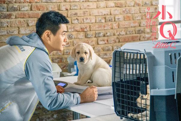 NG次数打破从影记录,任达华的《小Q》本就与众不同