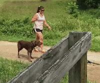 最新防割韭菜套路骗局揭秘,揭秘骗子那些割韭菜套路