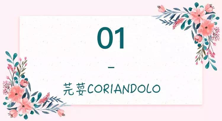 北京最好看的花店,北京哪个花店最美丽又好看