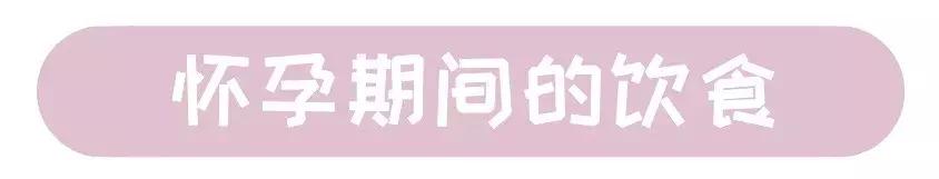 猫咪怀孕的营养品,猫咪怀孕要做哪些准备