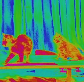 飞机上的马桶别乱用,飞机上的马桶为什么不容易粘